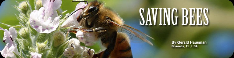 Saving Bees