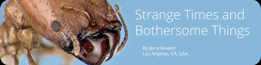Strange Times and Bothersome Things