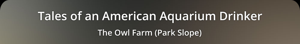Tales of an American Aquarium Drinker - The Owl Farm, Park Slope